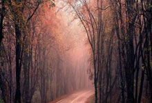 亚星官网：OPTA英超夺冠概率变化：利物浦增加9.2%至69.5%.