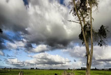 亚星官网：OPTA英超夺冠概率变化：利物浦增加9.2%至69.5%.