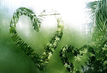 亚星官网：东契奇近4场场均32.8分+67%TS 他上次连续4场30+还是24年3月.