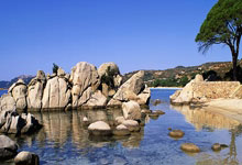 亚星官网：东契奇近4场场均32.8分+67%TS 他上次连续4场30+还是24年3月.